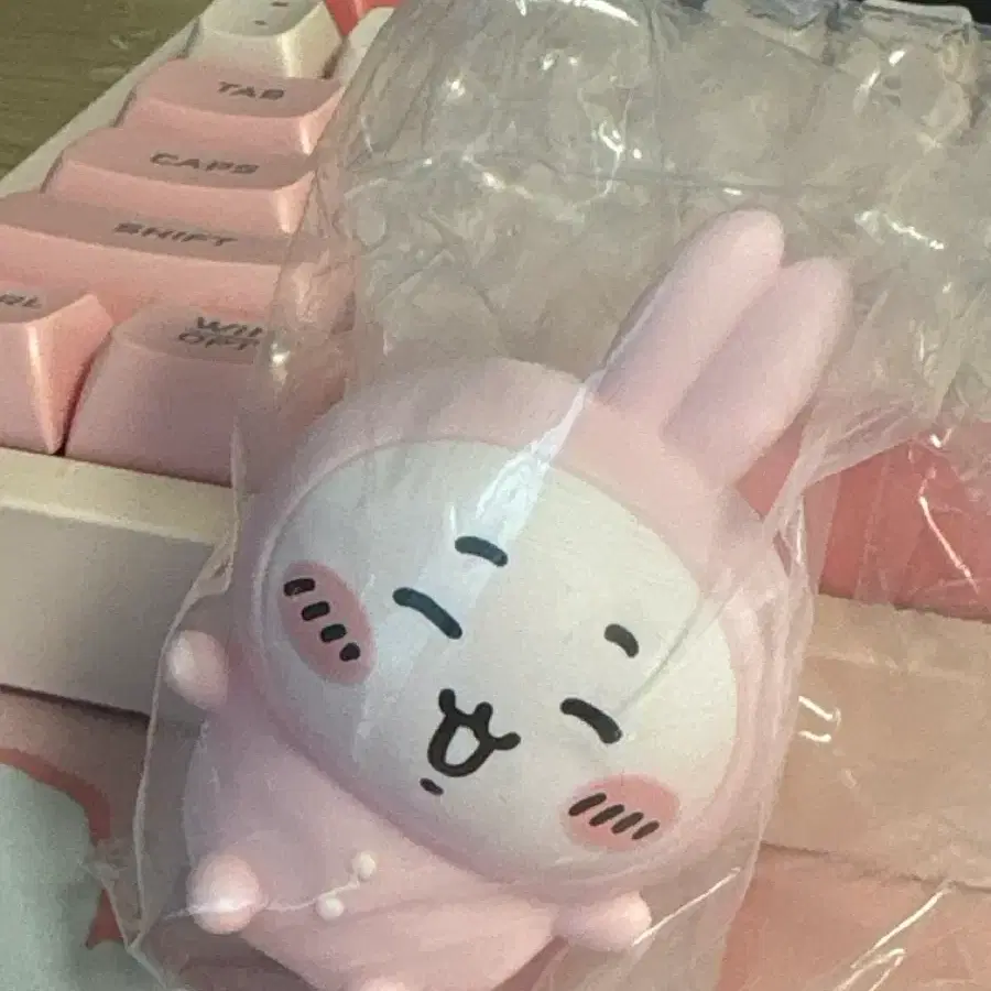 치이카와 소프비 4탄