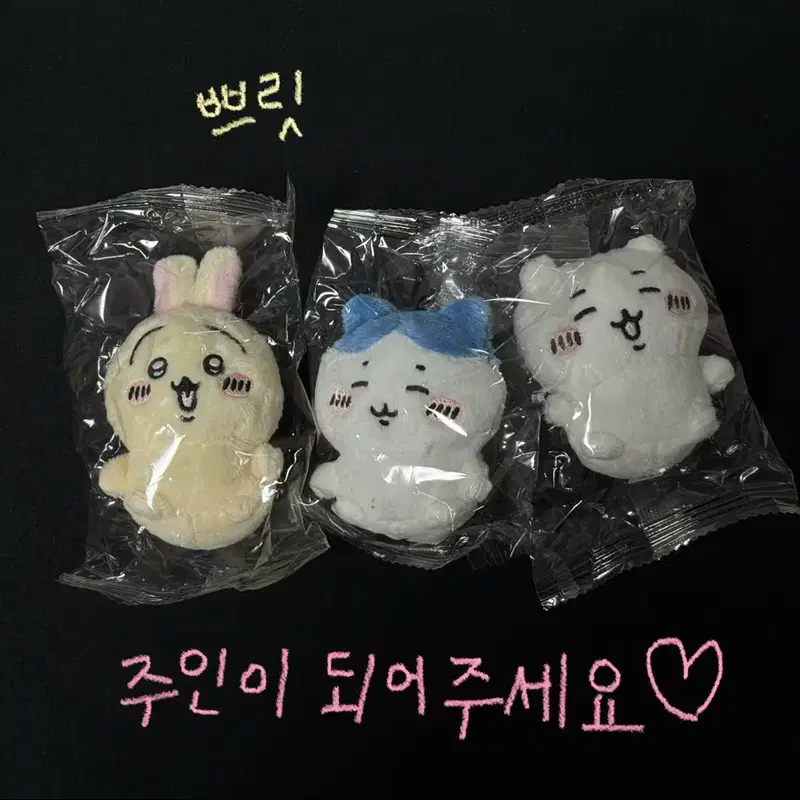 먼작귀 앉은 누이 2탄!! 오스와리 누이구루미 치이카와 하치와레 우사기 랏코 시사
