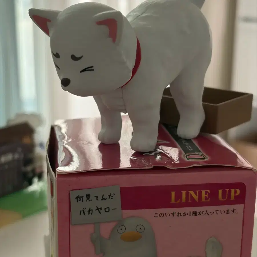 은혼 똥싸는 사다하루 사실 분