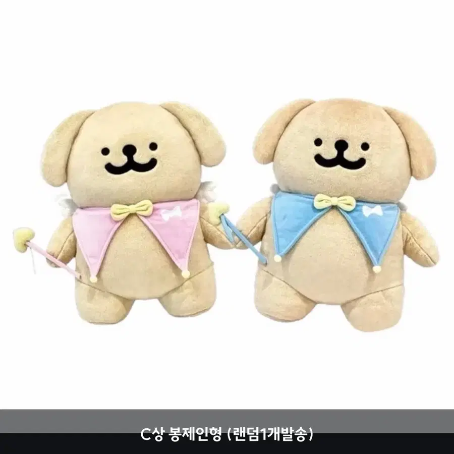 몰티즈쿠지 c상 봉제인형