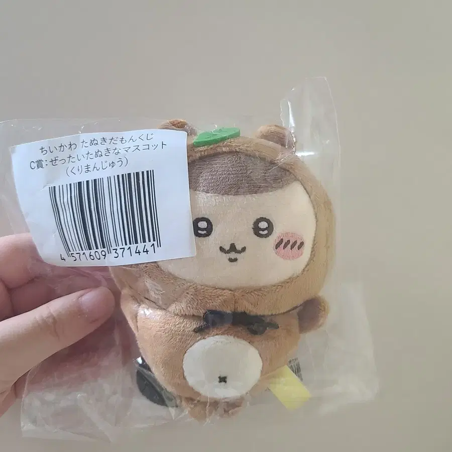 너구리 쿠리만쥬 밤만쥬 타누키다몽 먼작귀