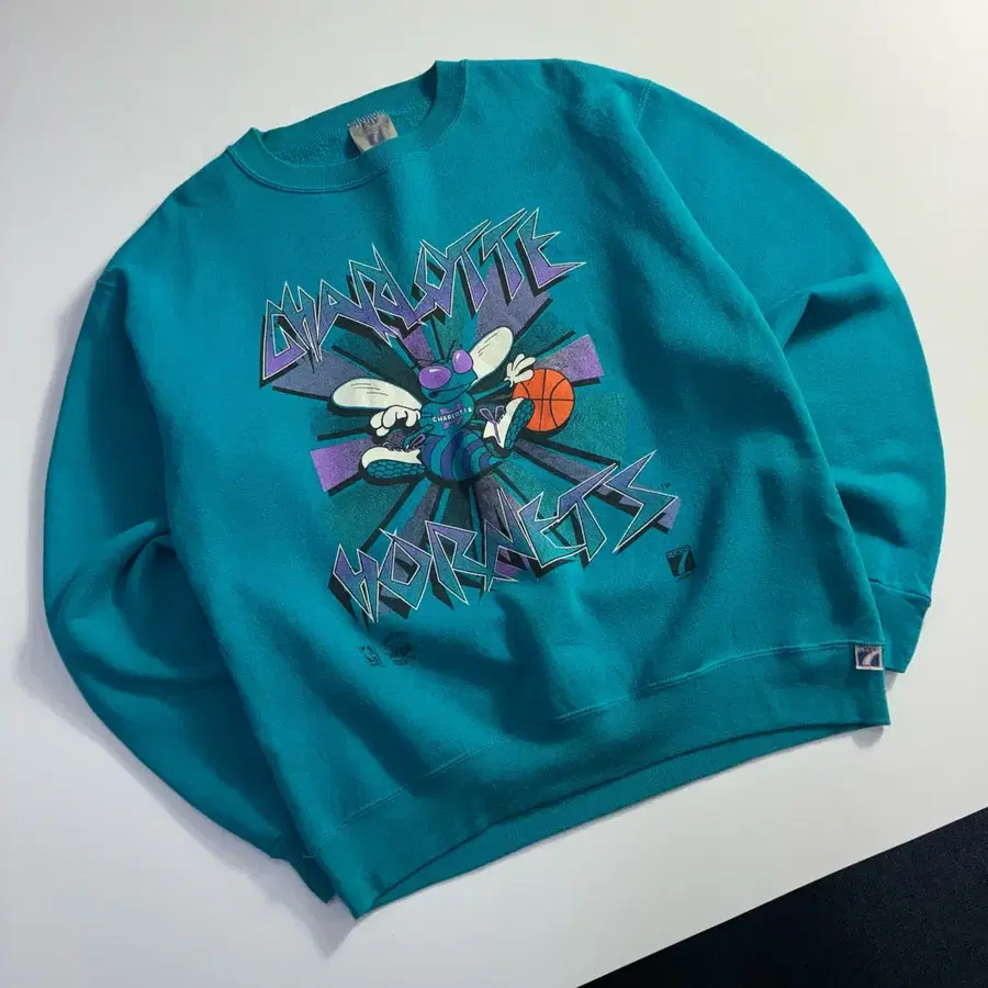 Vintage 샬럿 호네츠 NBA 90,s 헤비웨이트 맨투맨
