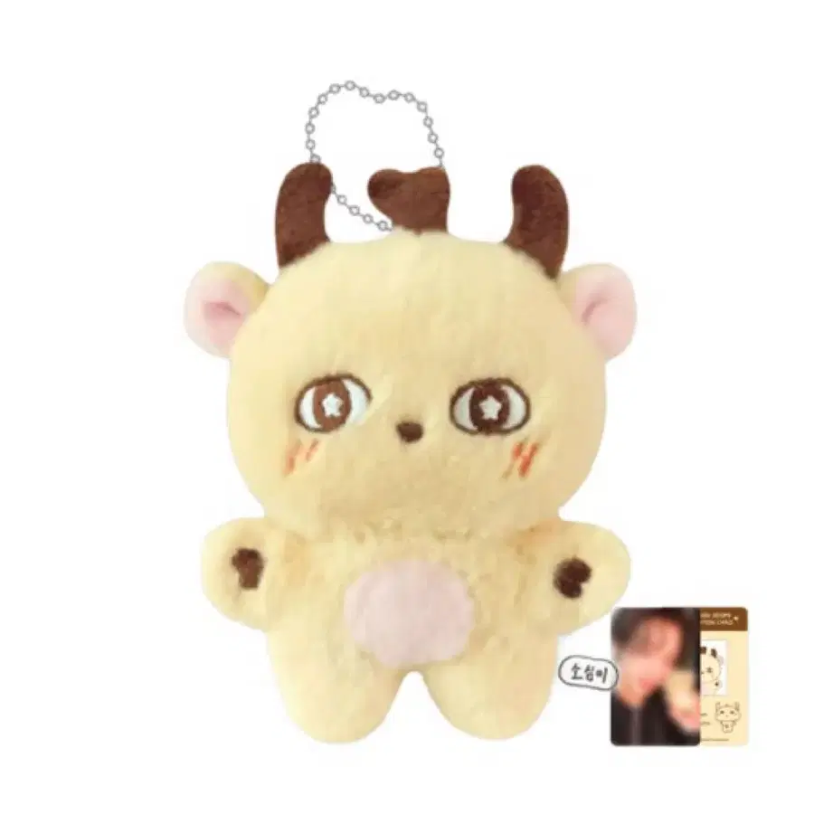 박지훈 소심이 인형