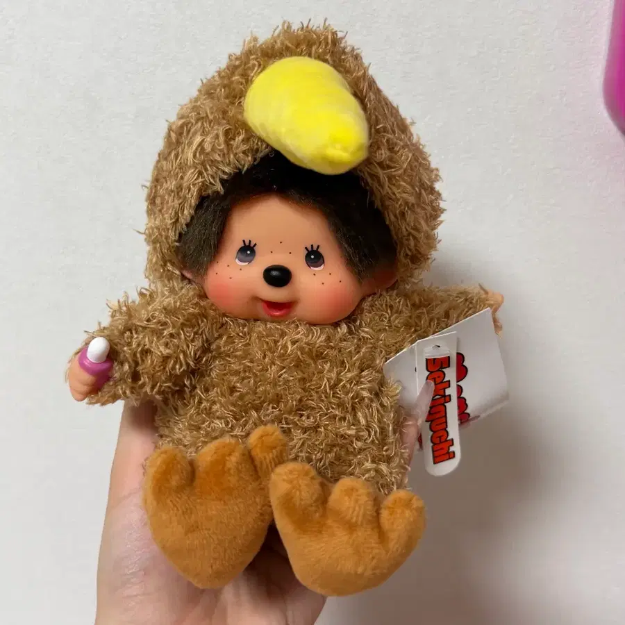 한정판 뉴질랜드 키위새 몬치치