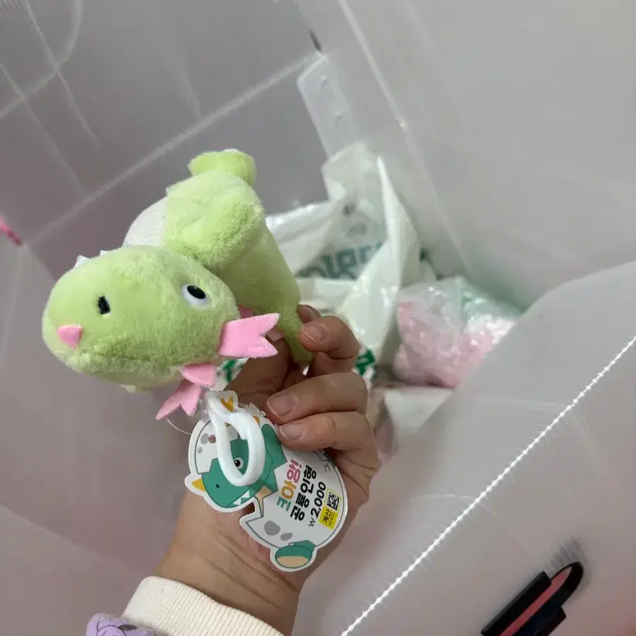 크아앙 다이소 공룡 인형