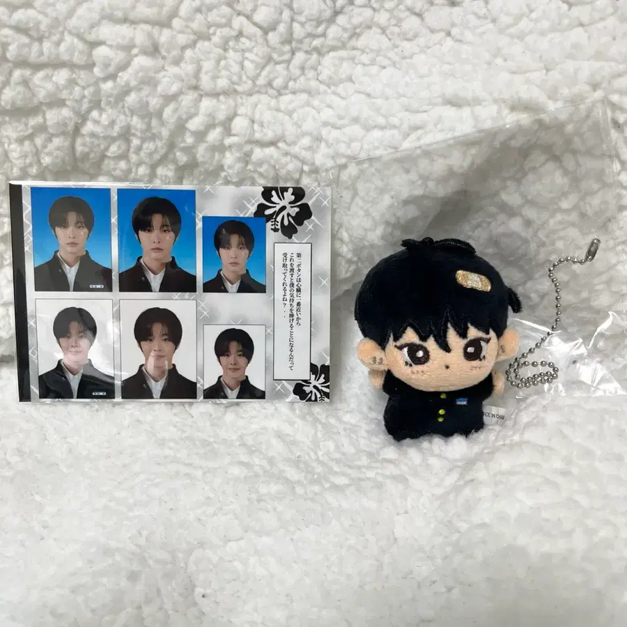 엔시티 위시 리쿠 가쿠란 마에다군 인형