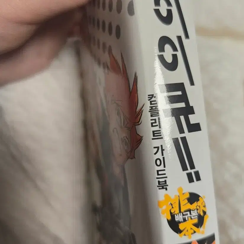 하이큐 컴플리트 가이드북