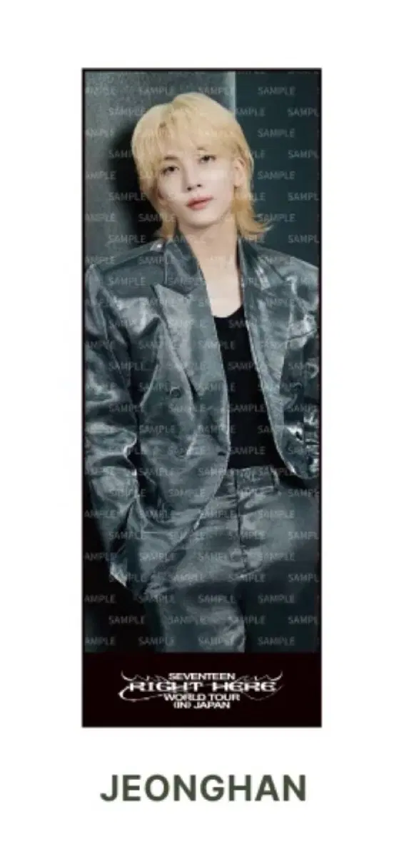 Seventeen Right Here Big Photo Towel Jeonghan