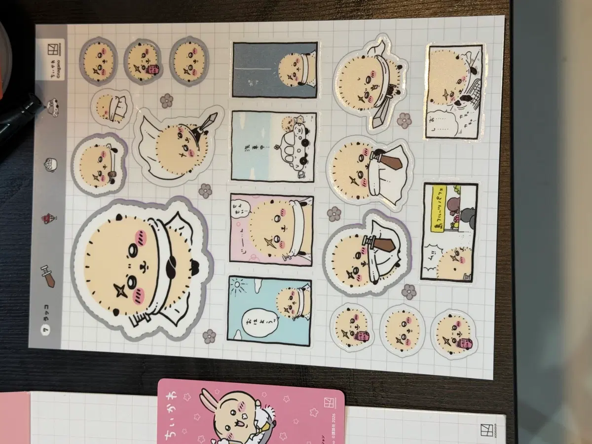 Chiikawa Sticker Rakko