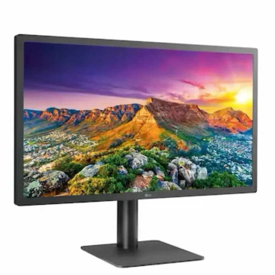 LG 울트라파인 24인치 24MD4KL