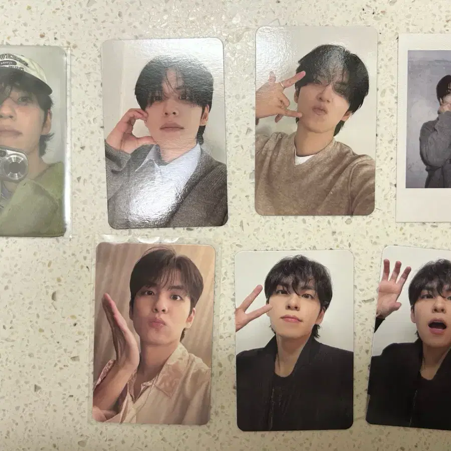 데이식스 원필 포카 일괄