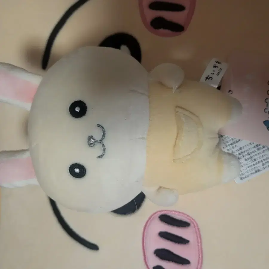 치이카와 난또카바니안 우사기 인형