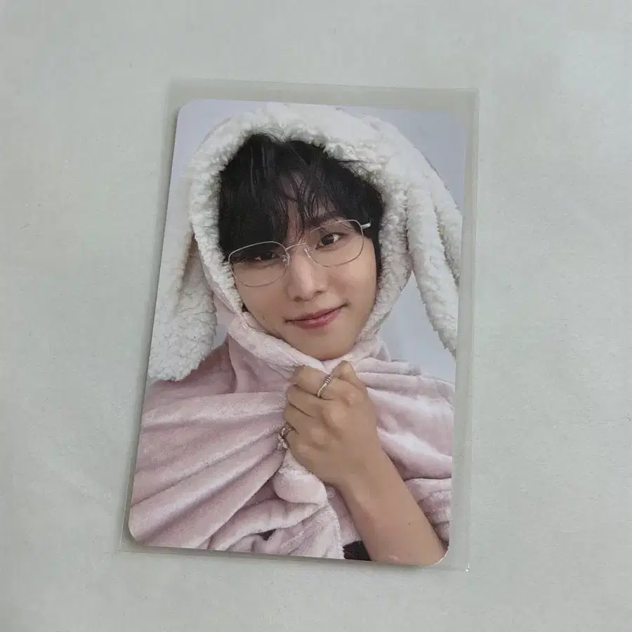 영케이 영기스트 토끼 포카