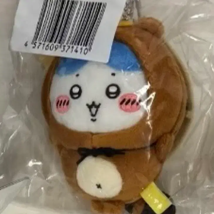 치이카와 너구리 하치와레 C상