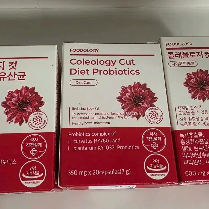 푸드올로지 콜레올로지컷 다이어트 유산균2박스 / 컷프로 1박스