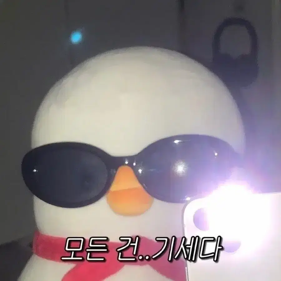 치이카왉님 결제창