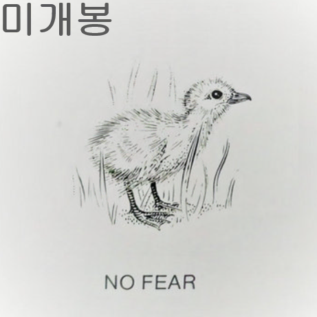 핀피오르 (Fin Fior) - No Fear (미개봉, CD)