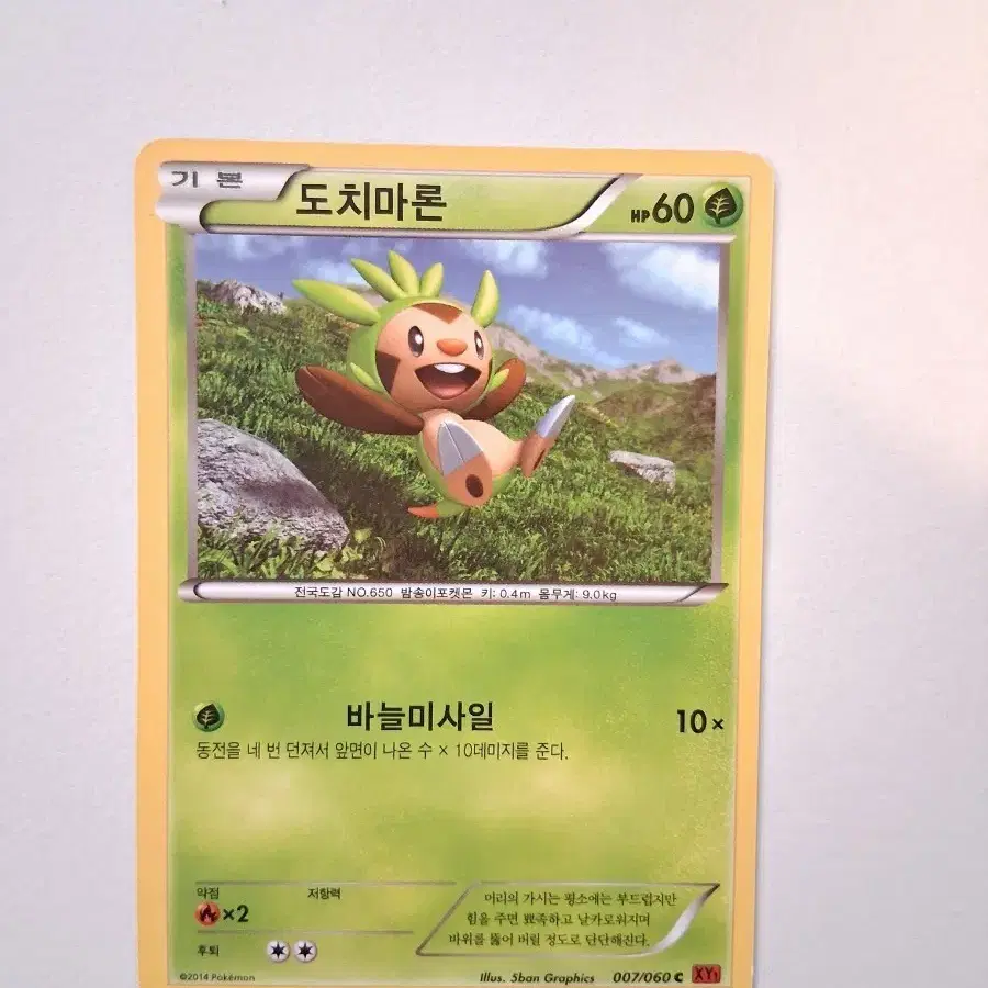 포켓몬카드 2014년 도치마론 007/060 XY1
