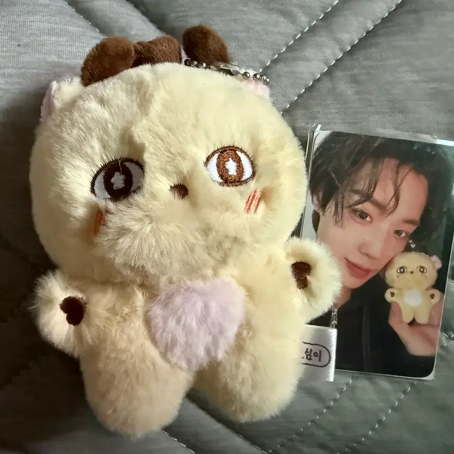 박지훈 소심이인형(+포토카드)