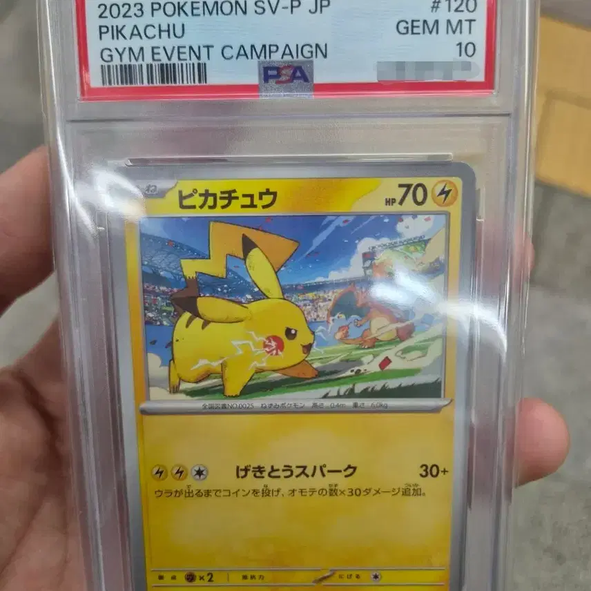 포켓몬 2023 포켓몬스터 피카츄 카드 짐 이벤트 캠페인[PSA 10]