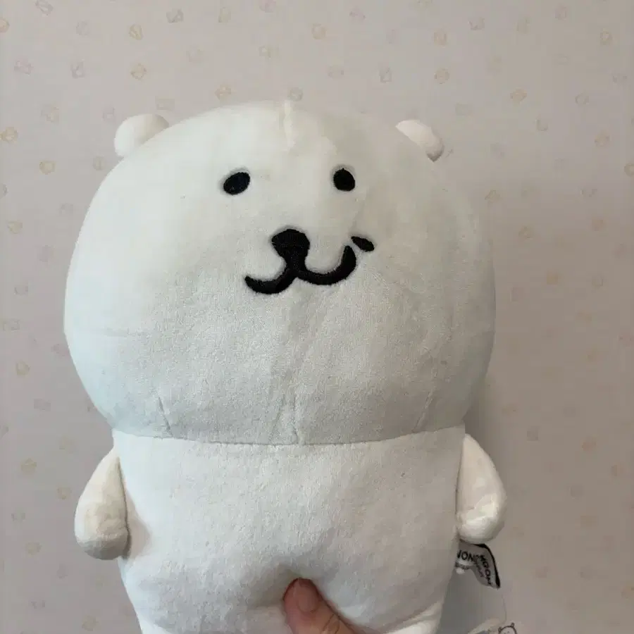 비플랏 우쭐곰 팝니다.