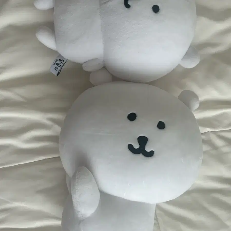 농담곰 인형 일괄
