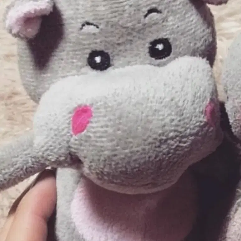 다이소 하마인형 구합니다