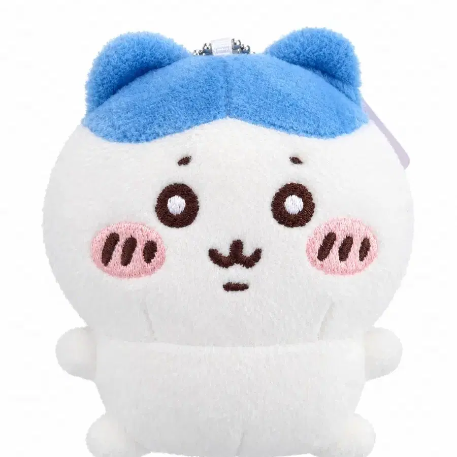 콩눈이 하치와레 인형