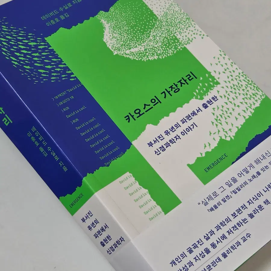 카우스의 가장자리
