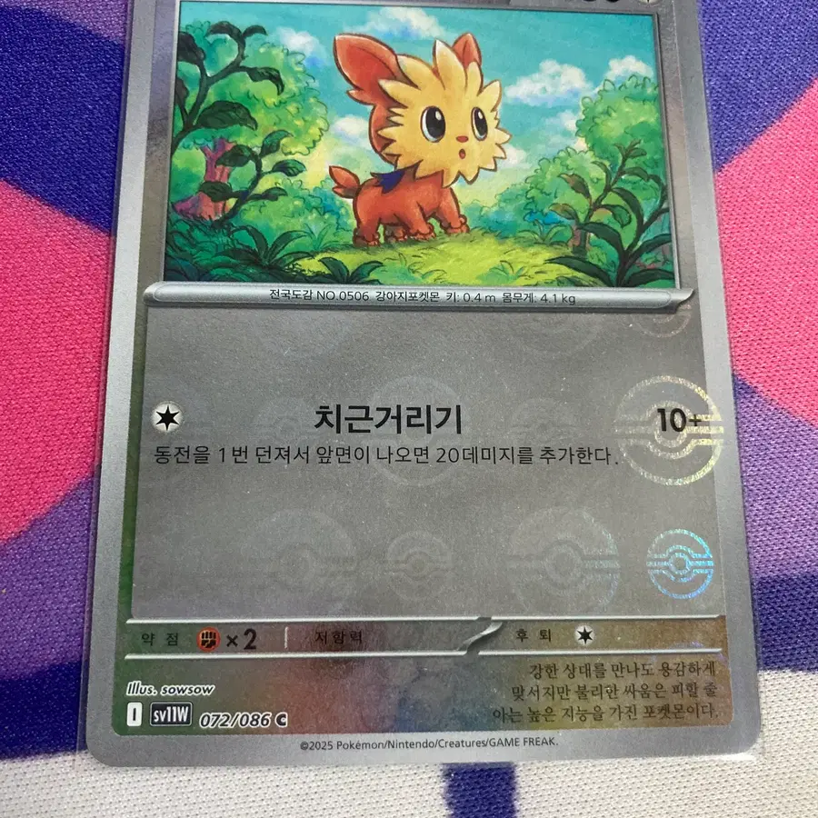 한국) 요테리 몬스터볼 홀로 [sv11W 072/086]