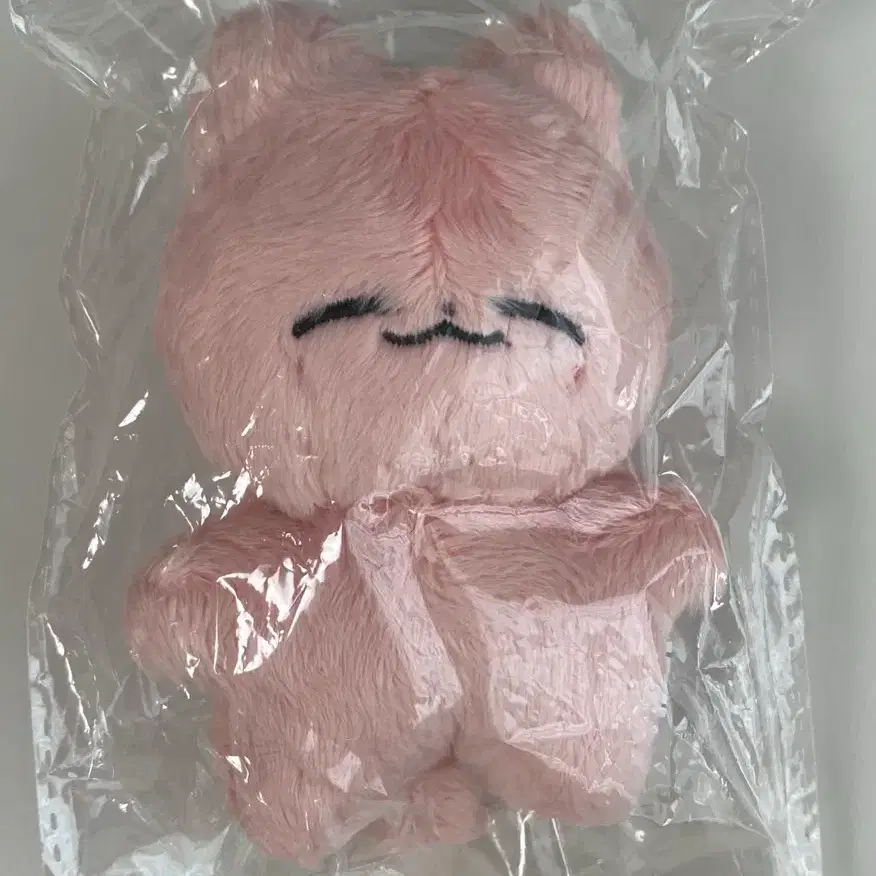 NCT Jaehyun Jaennyangi Plush