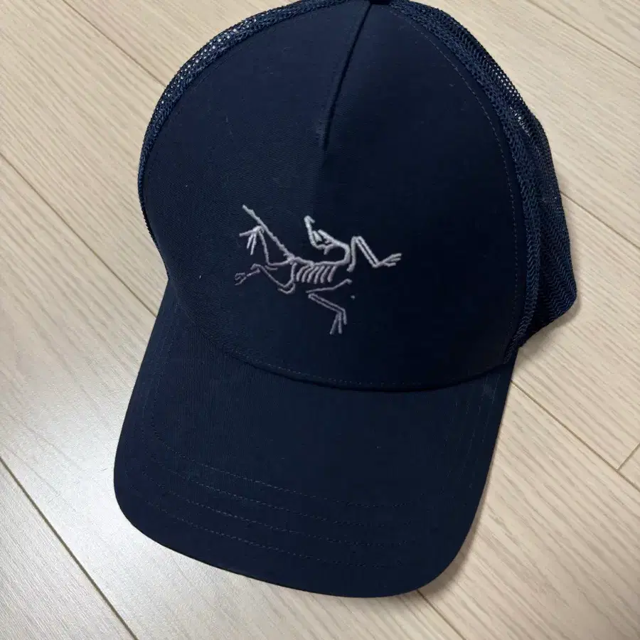 아크테릭스 볼캡