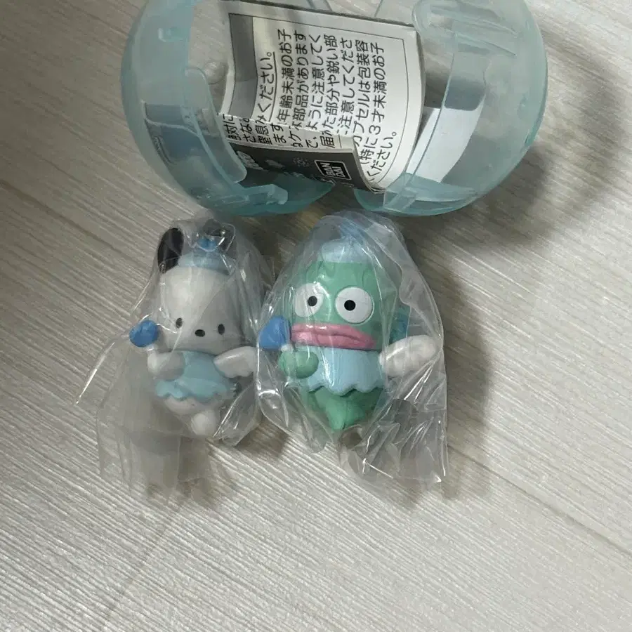 포챠코 한교동 일괄