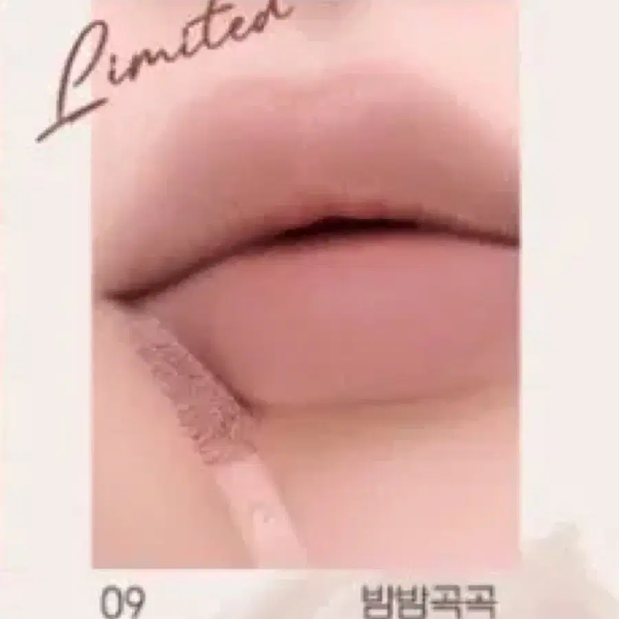 페리페라 밤밤곡곡