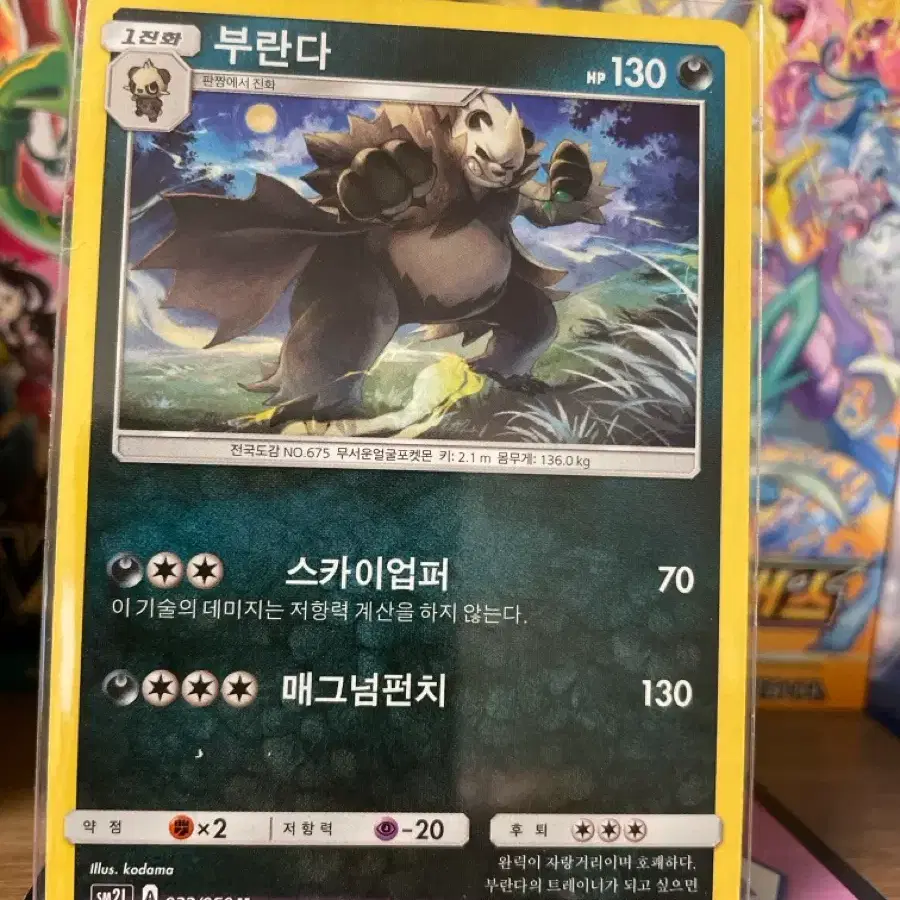 포켓몬카드 부란다 sm2l