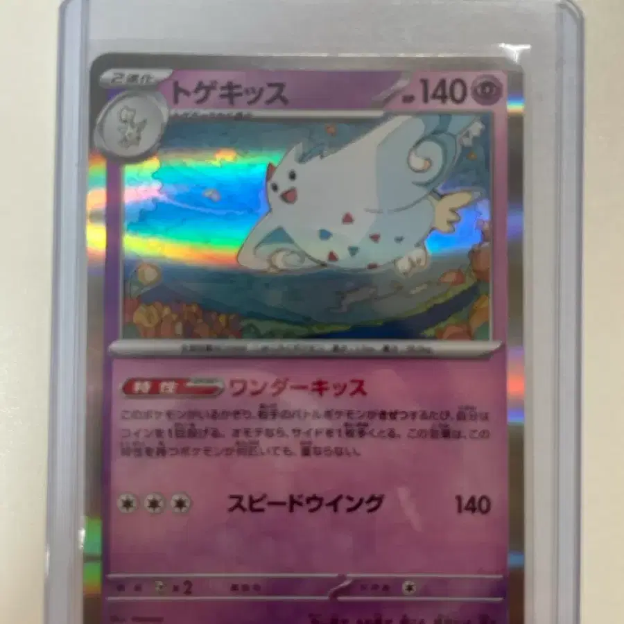 포켓몬카드