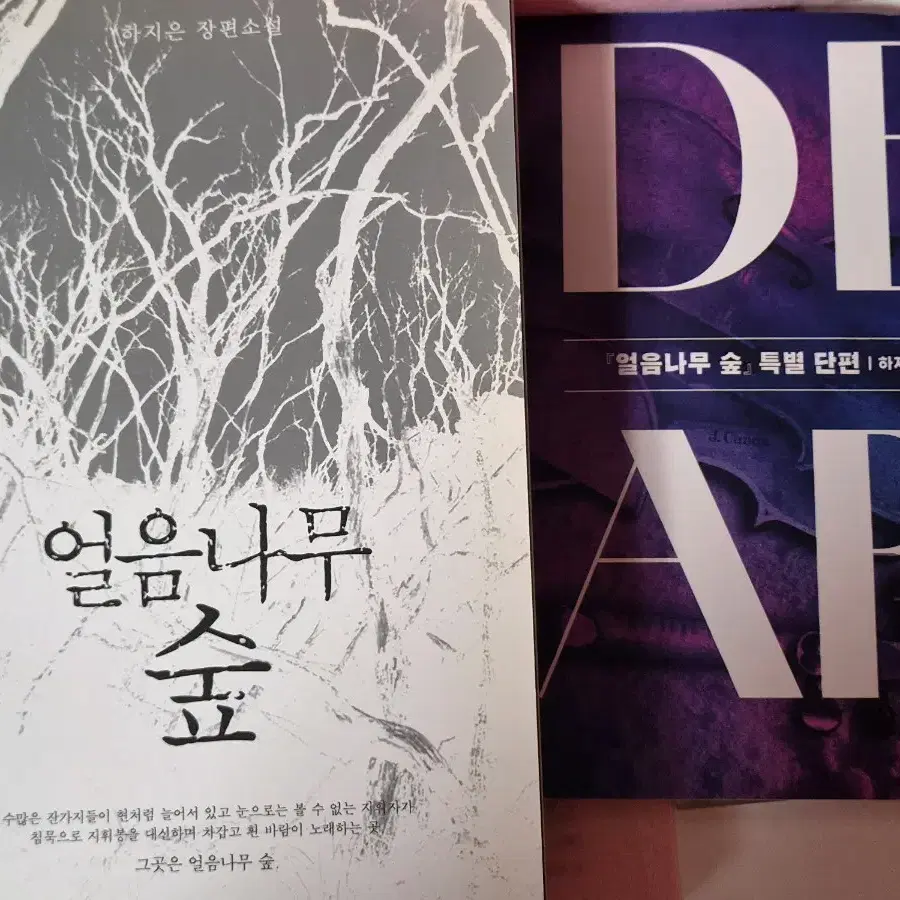 얼음나무숲 구판 외전 dear
