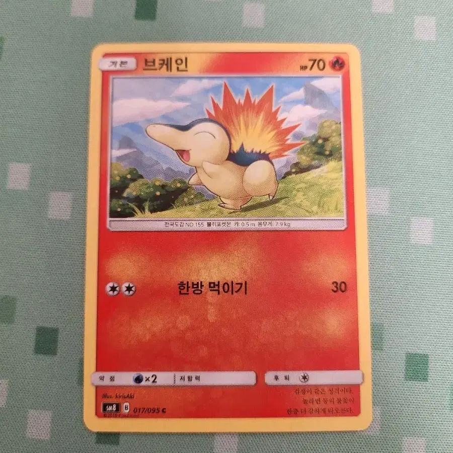 포켓몬카드 브케인 일반카드