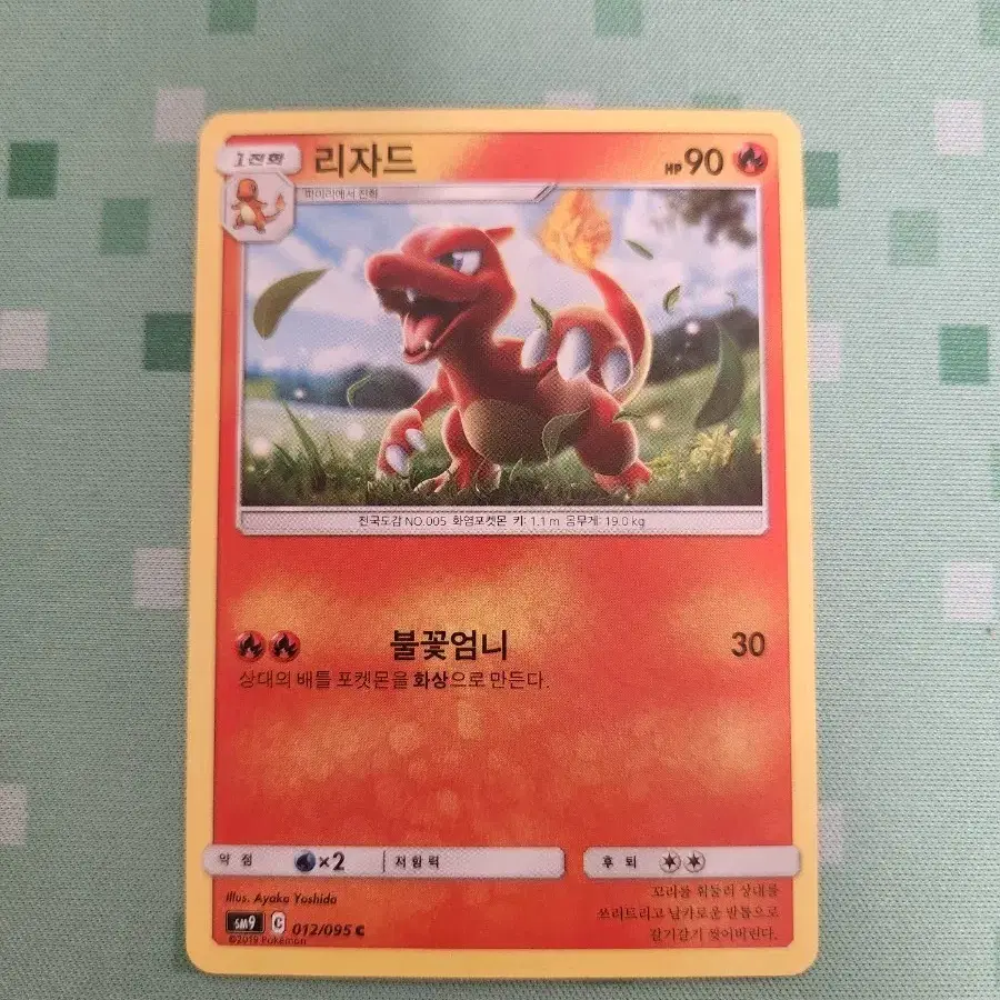 포켓몬카드 리자드 일반카드
