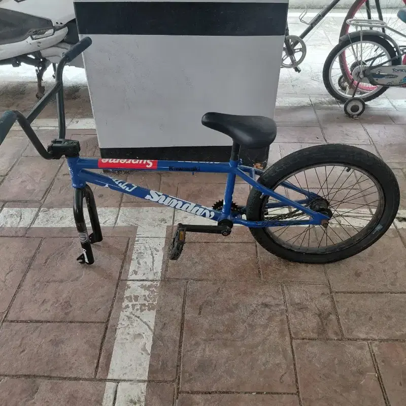 선데이 bmx 반차