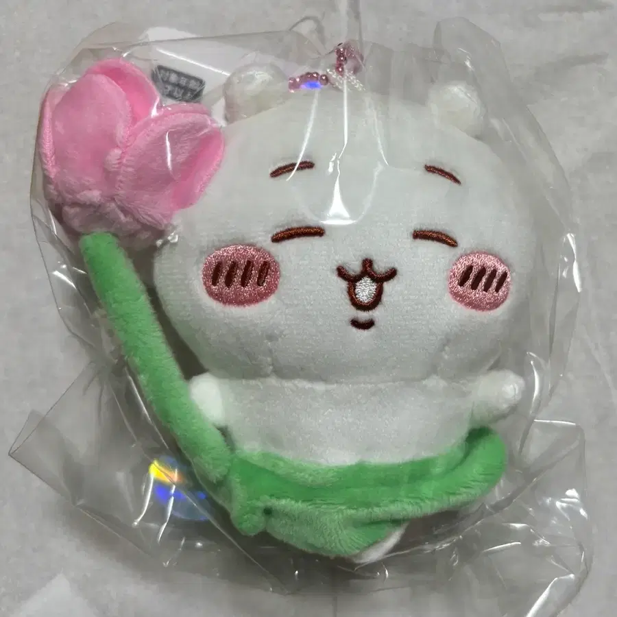 연꽃 치이카와