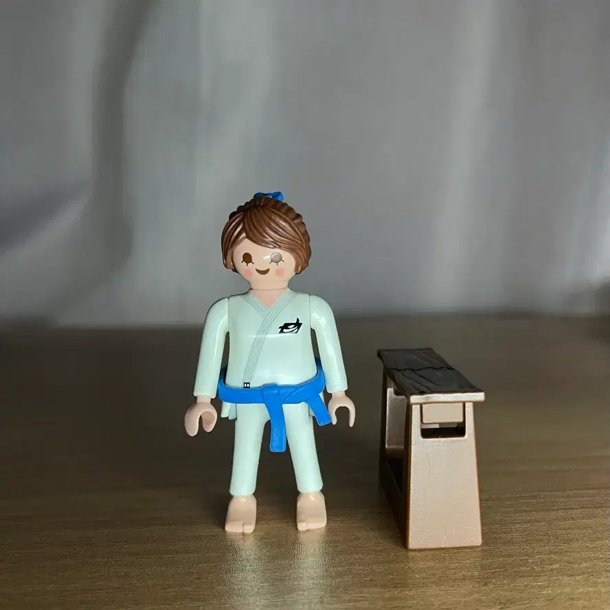 플레이모빌 유단자