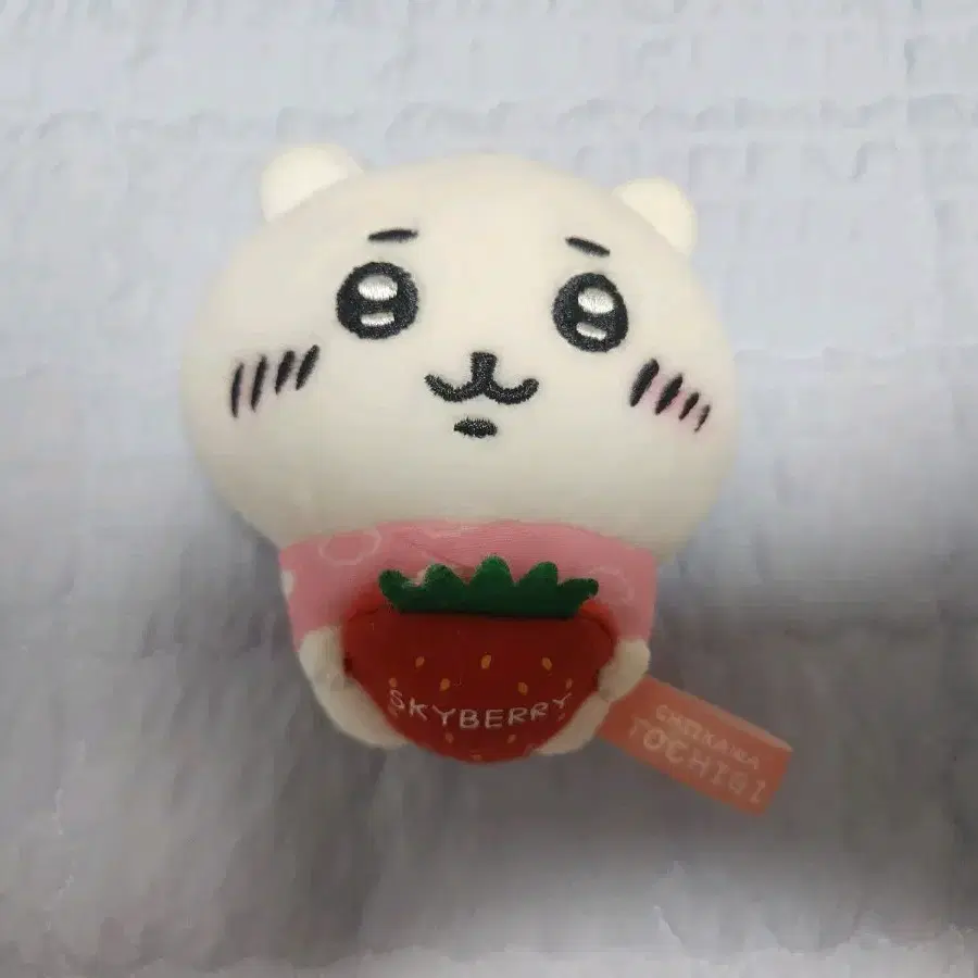 치이카와 토치기 스카이베리 후쿠오카 한정 딸기 마스코트