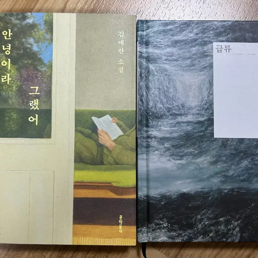 김애란 안녕이라 그랬어 / 정대건  급류 / 예소영 사랑과 결함