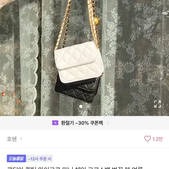 미니체인 크로스백
