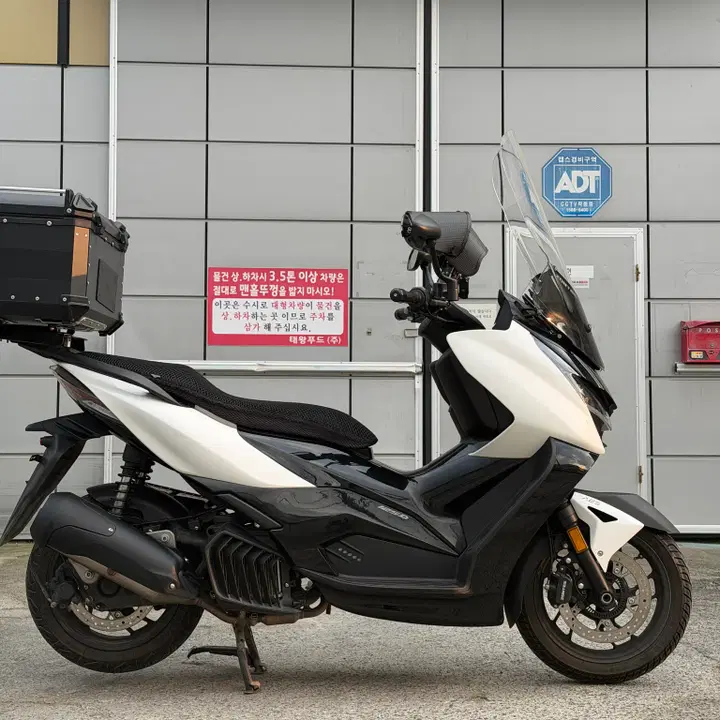 존테스125D (2025) 4