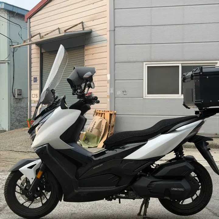존테스125D (2025) 5