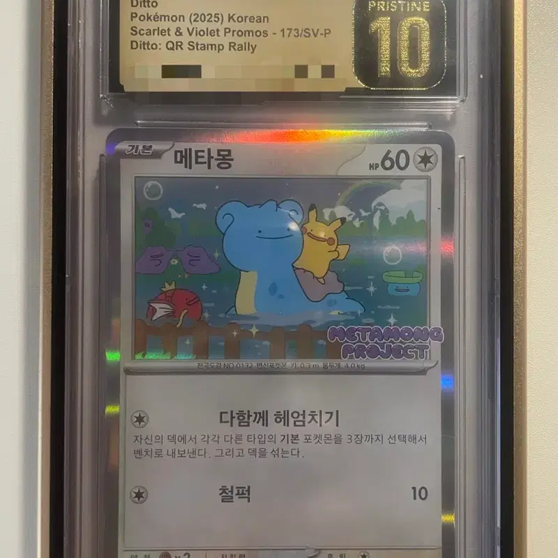 포켓몬카드 메타몽 173/SV-P CGC 10 등급 블랙라벨
