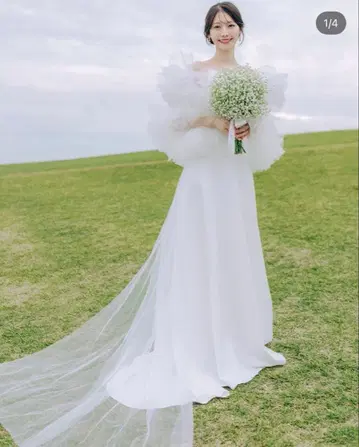웨딩 드레스 오프숄더 튤