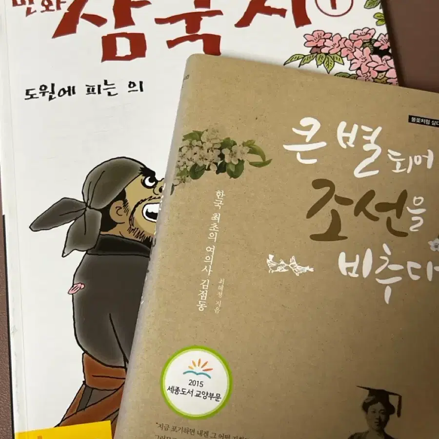삼국지 포함 책 일괄 판매